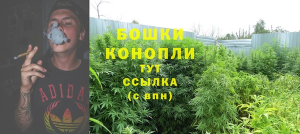 экстази Касимов