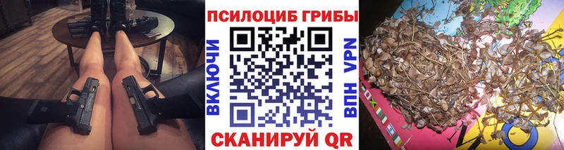 Псилоцибиновые грибы Psilocybine cubensis  даркнет телеграм  Ипатово 