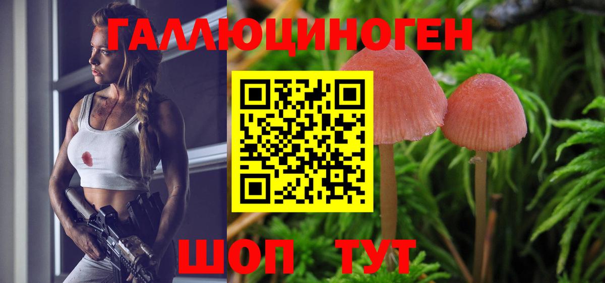 как найти   Галлюциногенные грибы Magic Shrooms  Вход с VPN  Ипатово 